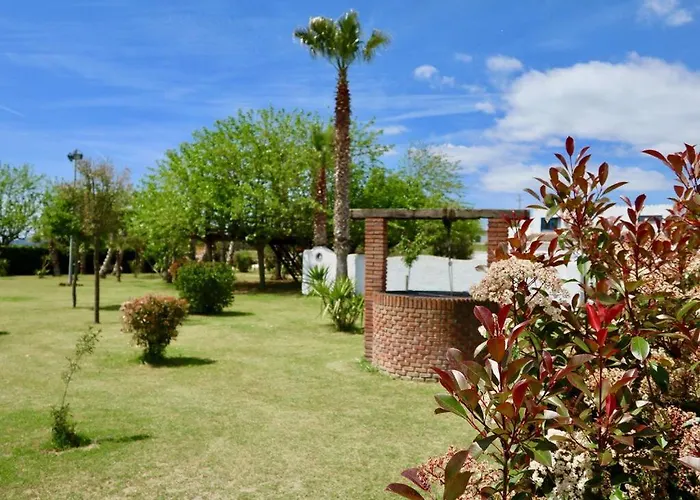 El Privado Naturetreehouse Casa Sobre Los Arboles Blanes