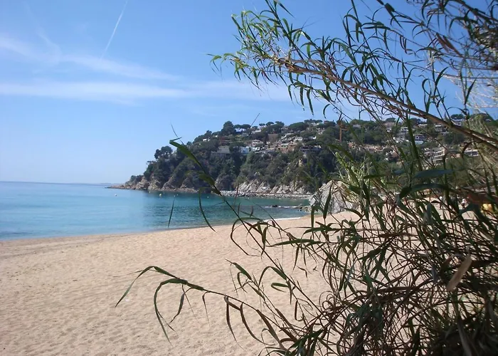 Villa Papaya Lloret de Mar