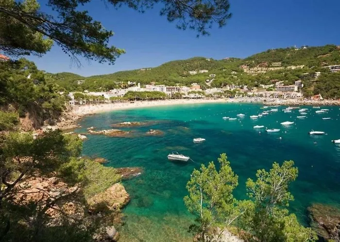 Apartment In Llafranc - 104291 By Mo Rentals Calella De Palafrugell